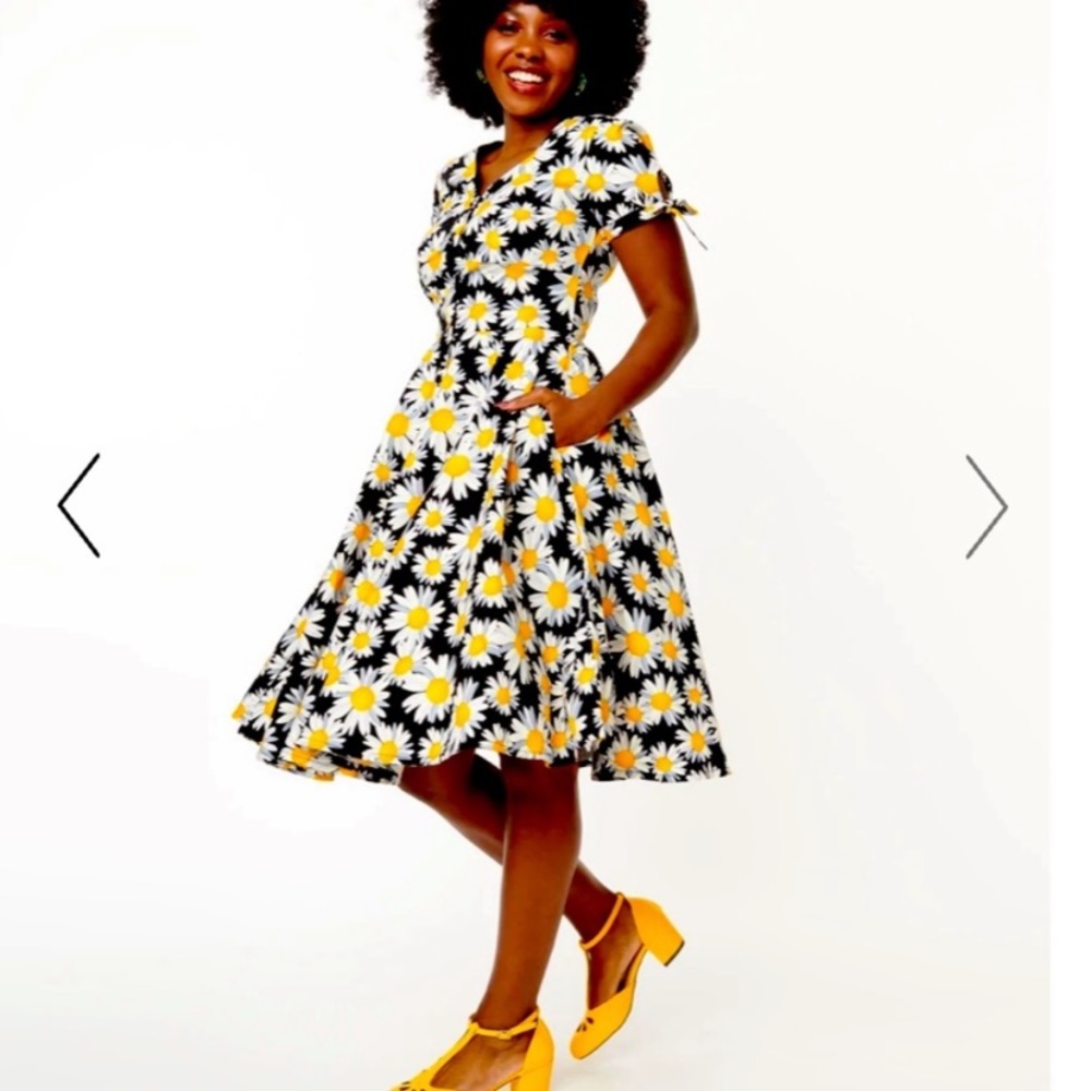 NWT Daisy swing dress